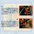 Crash Bandicoot Japanese Manual - 0025.jpg