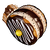 CTRNF Chocolate Glazed Wheels icon.png